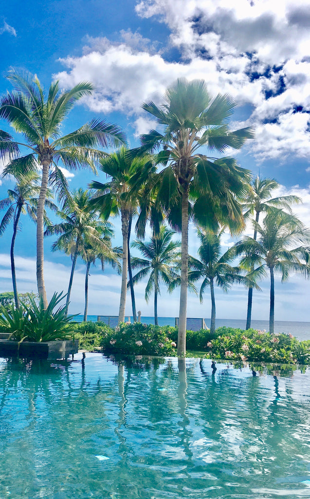 Hawaii Dreaming