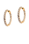 Canon Gold Eternity Hoops