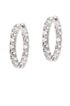 Melrose Grande White Rhodium Hoops