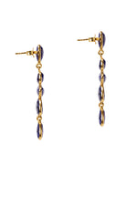 Paloma Jewel Chandelier Earring
