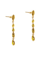 Paloma Jewel Chandelier Earring