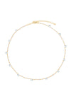 Sierra Briolette Jewel Necklace